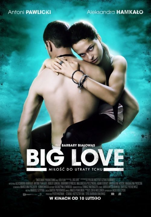 Большая любовь / Сука любовь / Big Love (2012)