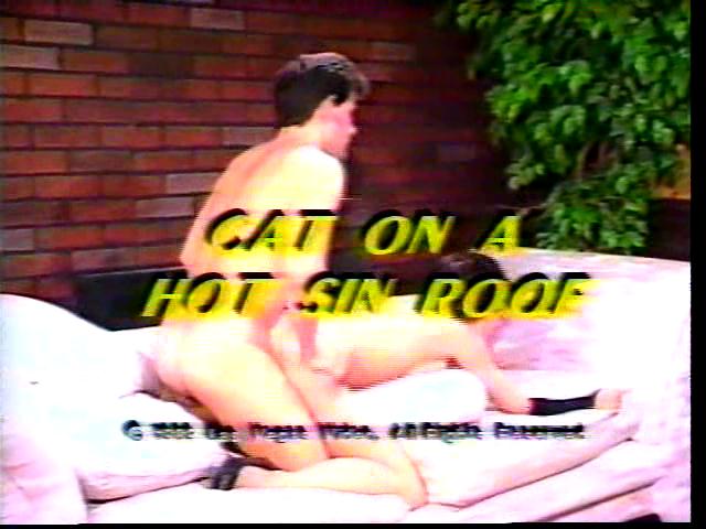 Cat On A Hot Sin Roof (1989)