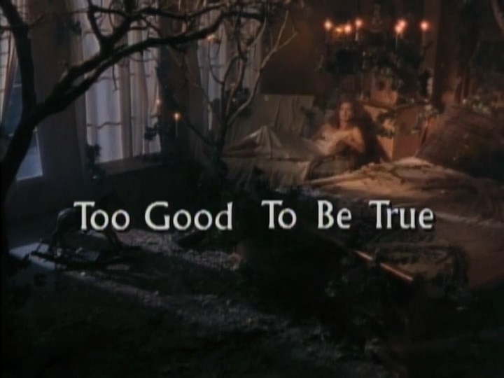 Так хорош, что не верится / Too Good to Be True (1997)