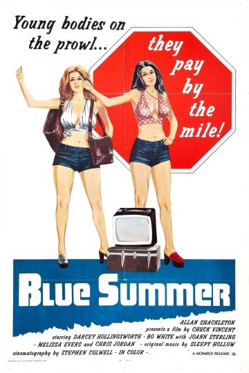 Лето желаний / Blue Summer (1973)