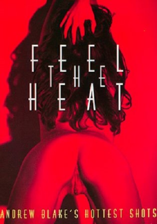 Почувствуй Страсть / Feel the Heat (2004)