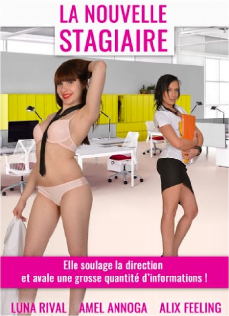 La Nouvelle Stagiaire (2017)