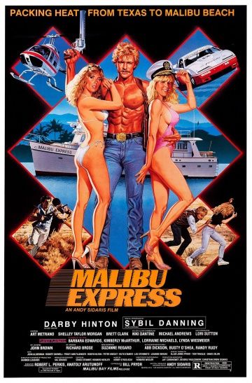 Малибу-экспресс / Malibu Express (1985)