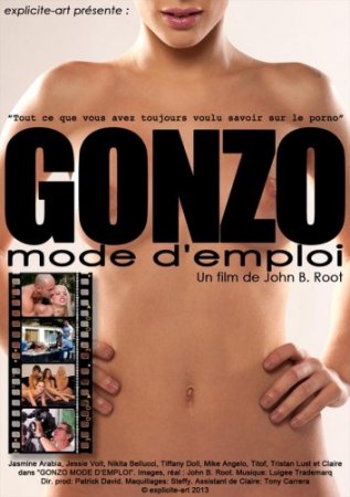 Gonzo mode d'emploi (2013)