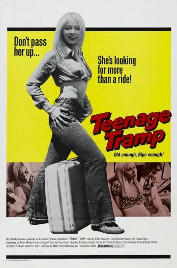 Подросток-бродяга / Teenage Tramp (1973)