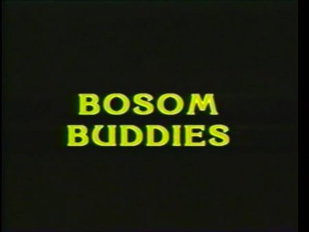 Bosom Buddies (1990)