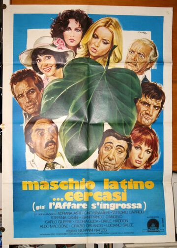 Разыскивается латинский мачо / Maschio latino cercasi (1977)