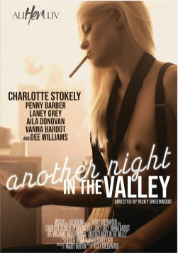 Ещё одна ночь в Долине / Another Night In The Valley (2022)