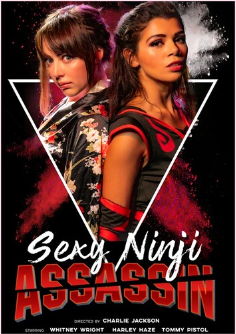 Sexy Ninja Assassin (2022)