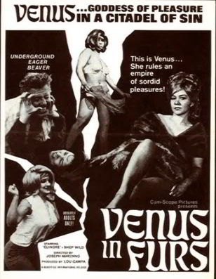 Венера в мехах / Venus in Furs (1967)