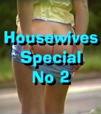 Housewives Special 2: Sex Starved Housewives (1980)