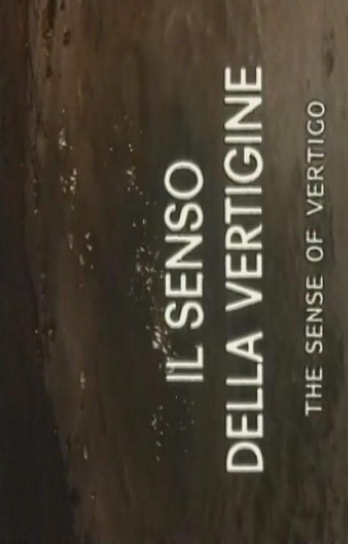 Чувство головокружения / Il senso della vertigine (1991)